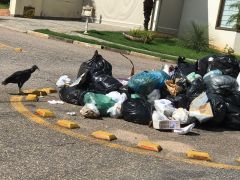Administração pede providências sobre acomodação de lixo orgânico